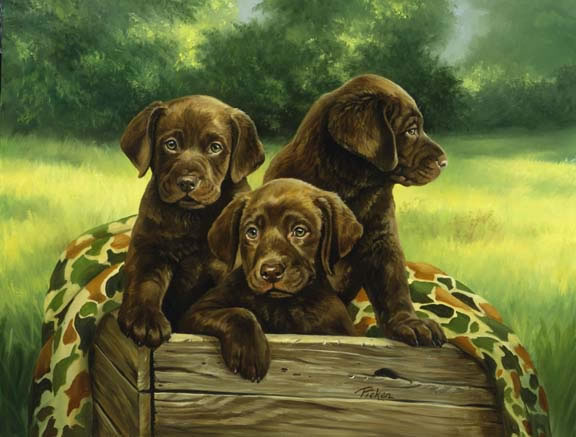 http://www.lindapicken.com/dogs/images/Box%20of%20Chocolates_jpg.jpg