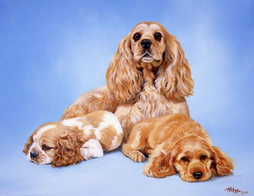 http://www.lindapicken.com/dogs/images/Cocker%20and%20Puppies_jpg.jpg