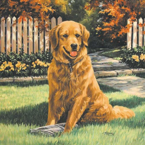 http://www.lindapicken.com/dogs/images/Golden%20Special%20Delivery_jpg.jpg