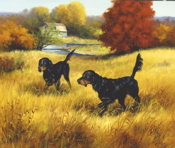 http://www.lindapicken.com/dogs/images/Gordon%20Setters_jpg.jpg