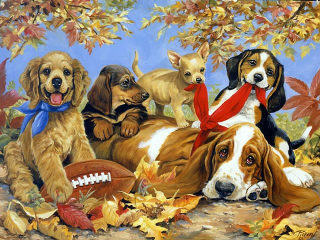 http://www.lindapicken.com/dogs/images/Let%27s%20Play%20Football_jpg.jpg