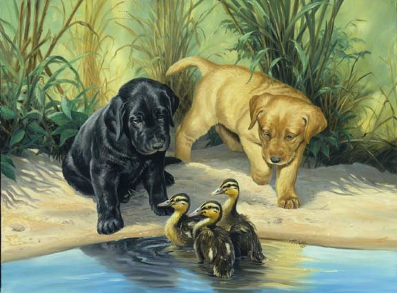 http://www.lindapicken.com/dogs/images/Next%20Generation%201006_jpg.jpg