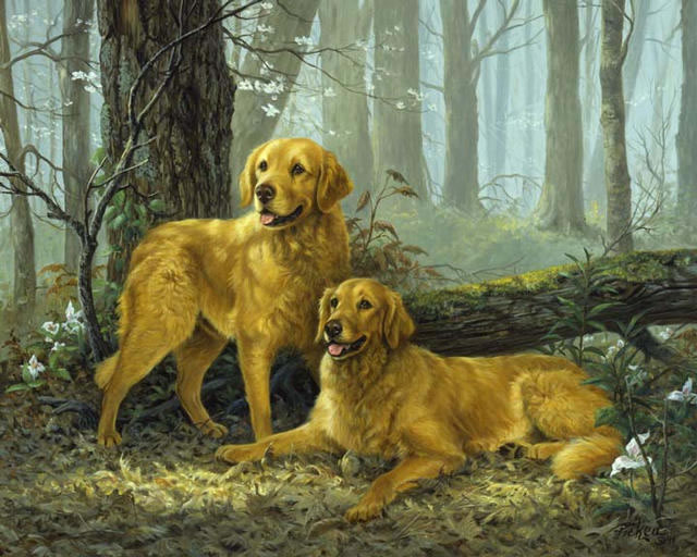 http://www.lindapicken.com/dogs/images/The%20Two%20Goldens_jpg.jpg