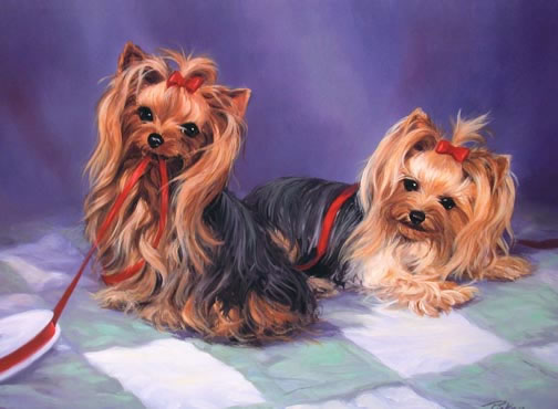 http://www.lindapicken.com/dogs/images/The%20Yorkies_jpg.jpg