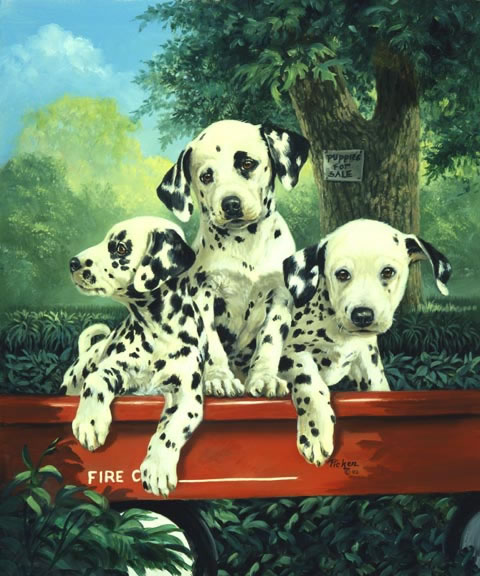 http://www.lindapicken.com/dogs/images/Three%20Alarm%20Fire_jpg.jpg